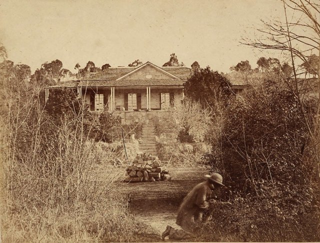 An Aboriginal gardener? “Thornthwaite”, Dartbrook, c1840. SLNSW